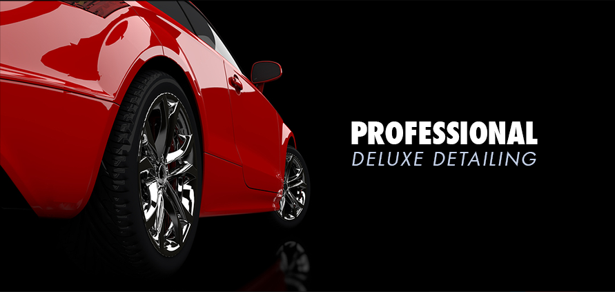 Professional Deluxe Detailing